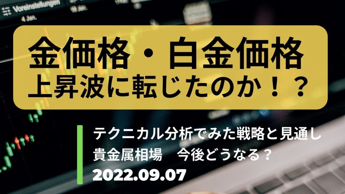 金価格・白金価格　今後どうなる？ 上昇波に転じたのか！？ テクニカル分析でみた見通しと戦略 9月7日（水）